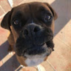 Meet your Posher, Serenity